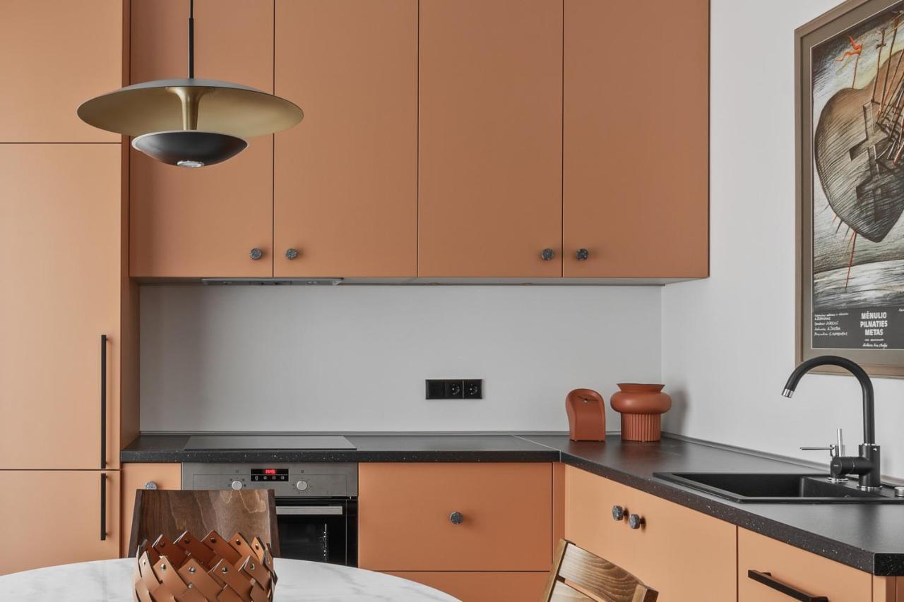 Ivis House - Stylish And Original Apartment In Vilnius Old Town מראה חיצוני תמונה