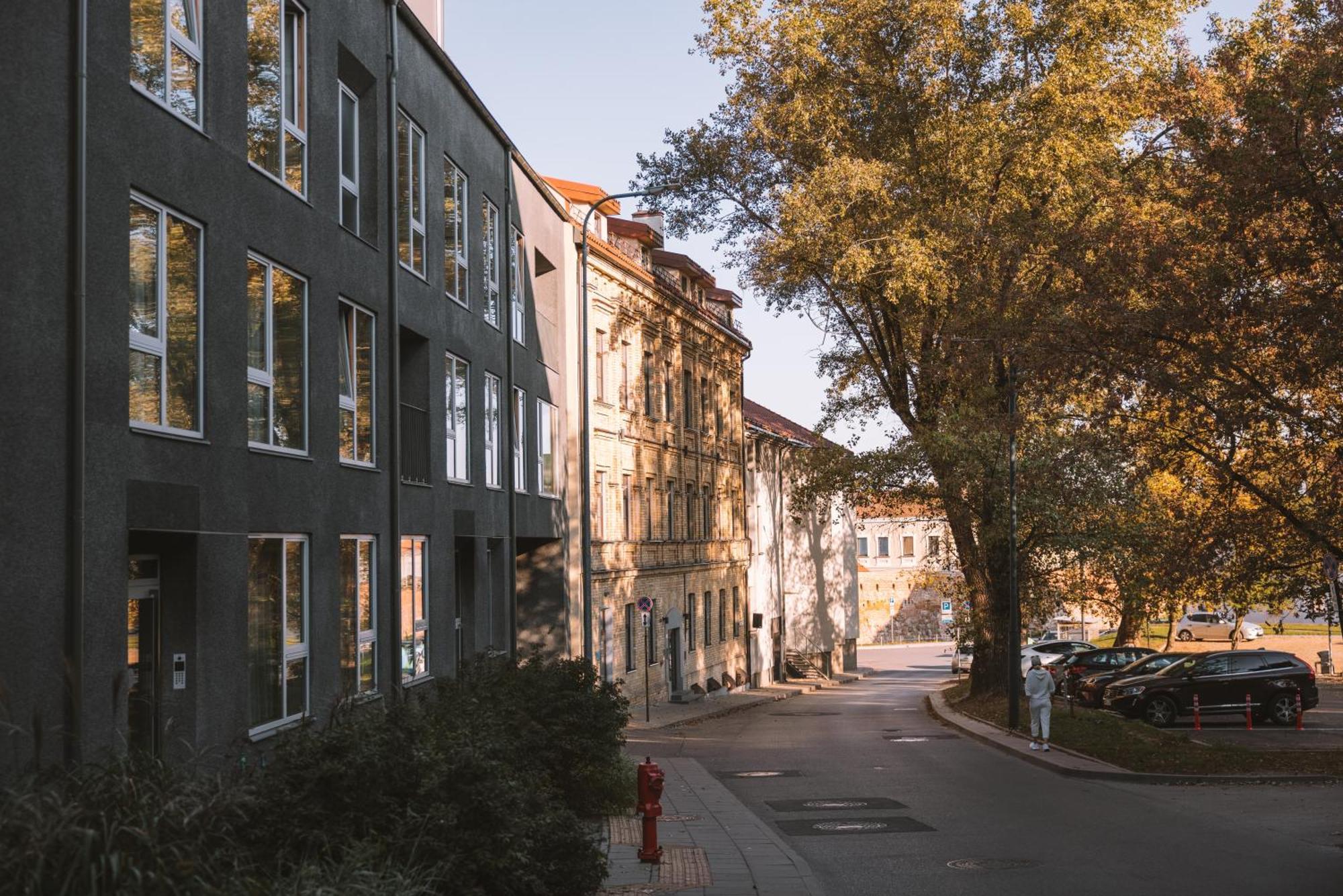 Ivis House - Stylish And Original Apartment In Vilnius Old Town מראה חיצוני תמונה